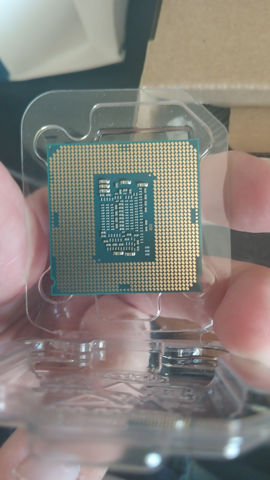 INTEL PENTIUM GOLD DESKTOP PROCESSOR G4560 LGA1151