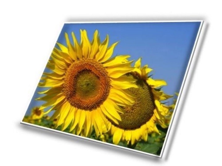 LAPTOP LED LCD SCREEN FOR HP 15-G210NR 15.6 WXGA HD 15-G211DX 15-G212DX