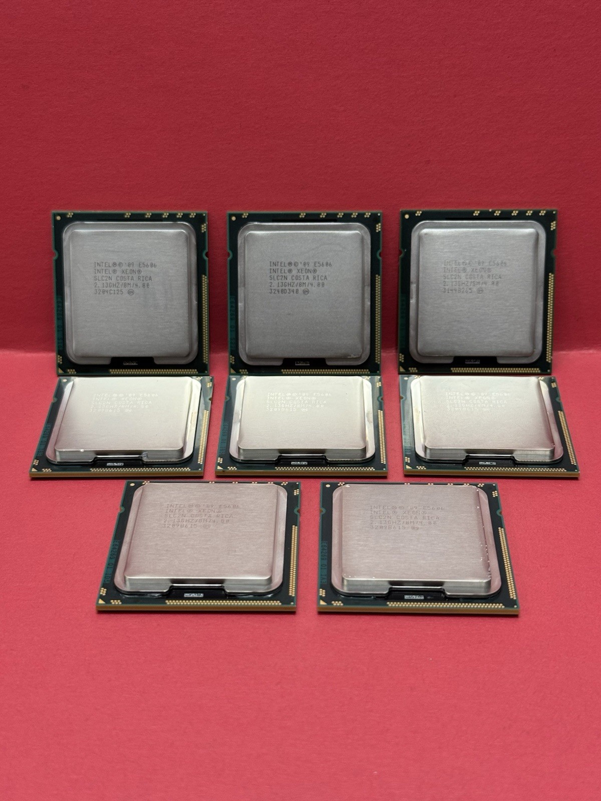 Lot Of 8 Intel Xeon 09 E5606 2.13GHz /8M/4.80 SLC2N Processor CPU