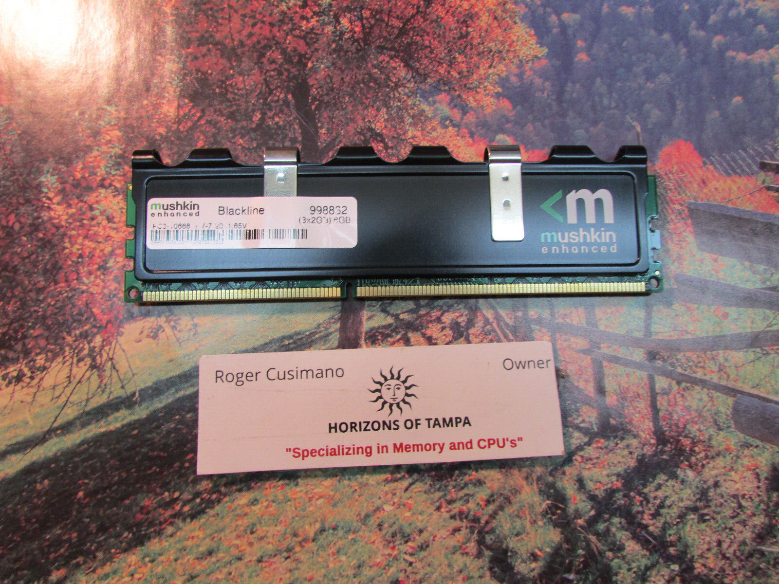 Mushkin Blackline Enhanced 998832 2GB RAM Desktop Memory – SINGLE