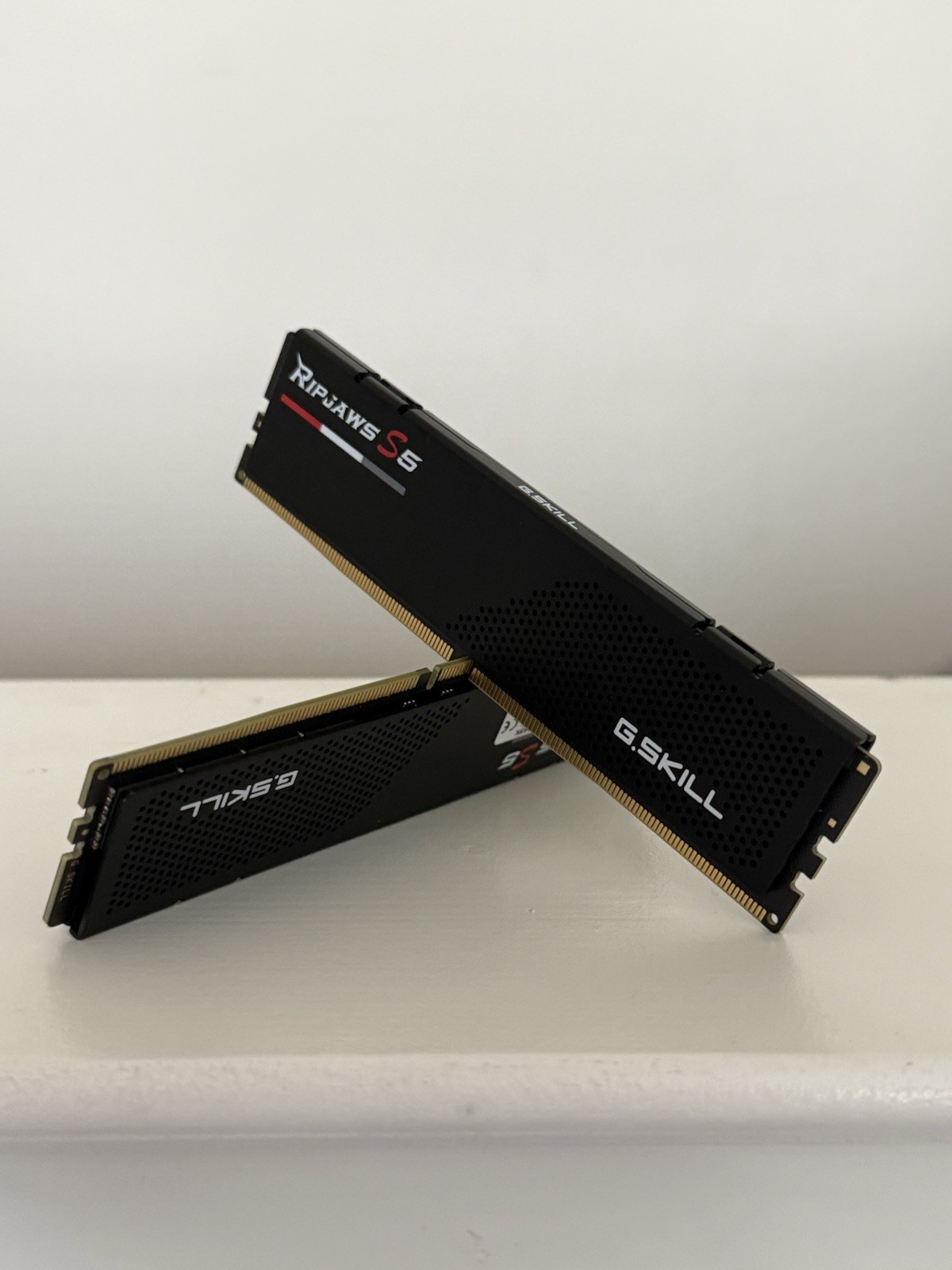 G. SKILL Ripjaws S5 32GB (2 x 16GB) Memory Kit (F5-6000J3636F16GX2-RS5K)