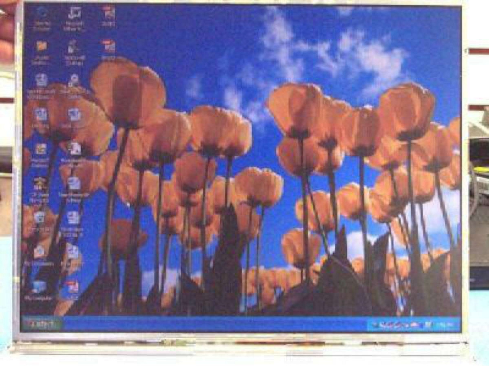 Fujitsu C2010 C6631 Laptop 14.1″ LCD Display Screen CP041612-02 notebook