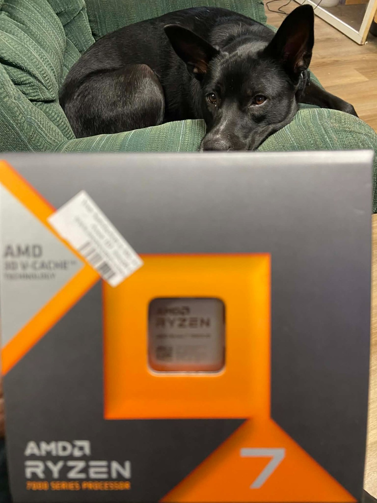 New ~ AMD Ryzen 7 7800X3D Processor (5 GHz, 8 Cores, Socket AM5) Boxed -…