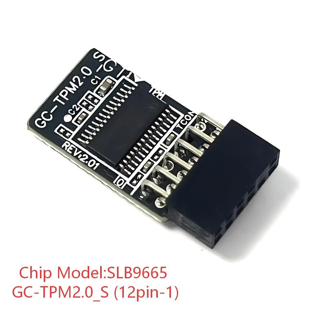 GC-TPM2.0_S 12pin-1 Security Module For GIGABYTE B550M DS3H AC R2 /DS3H R2 /DS3H