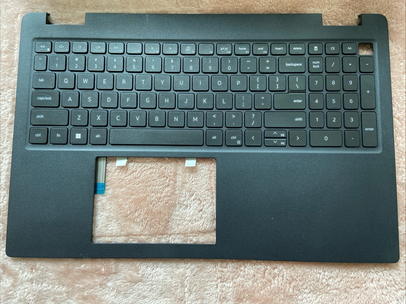 New Eng Dell Latitude 3520 E3520 Palmrest No Bcl KBD 0DJP76 DJP76 B17