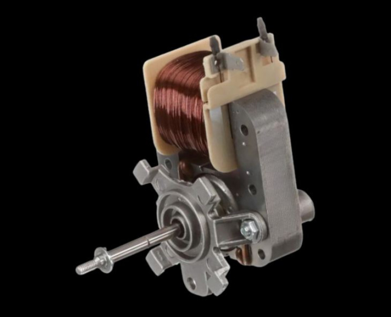 DG31-00014F – Motor AC Convection