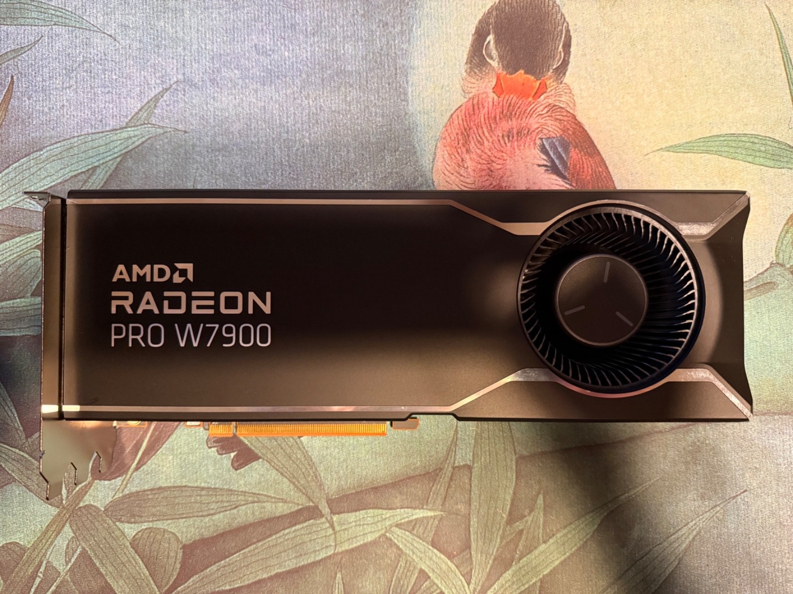 AMD Radeon PRO W7900 48 GB GDDR6 Graphics Card