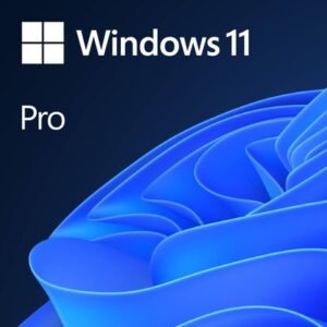 LICENCIA MICROSOFT WINDOWS 11 PROFESIONAL OEM – 64 BITS – DVD – FQC-10553